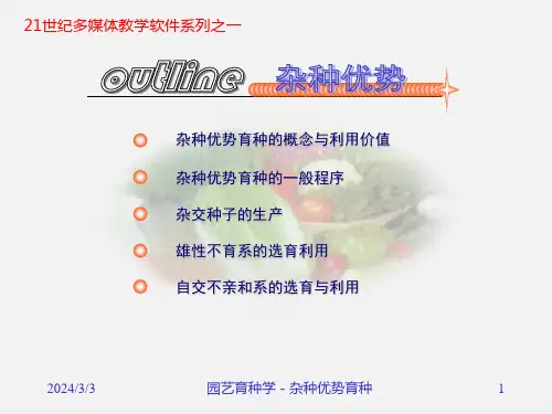 园艺植物育种学杂种优势育种ppt课件教学教程