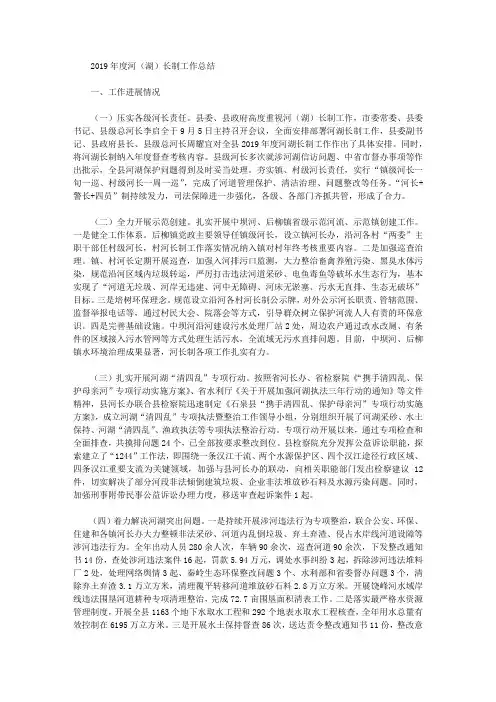 2019年度河(湖)长制工作总结