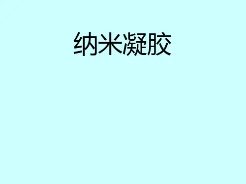 纳米凝胶