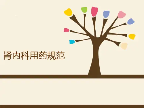 肾内科用药规范