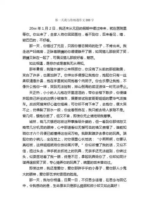 那一天我与你相遇作文800字_初三作文_