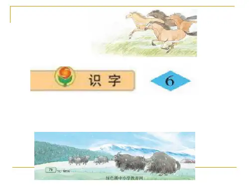 识字6_精华整理PPT课件