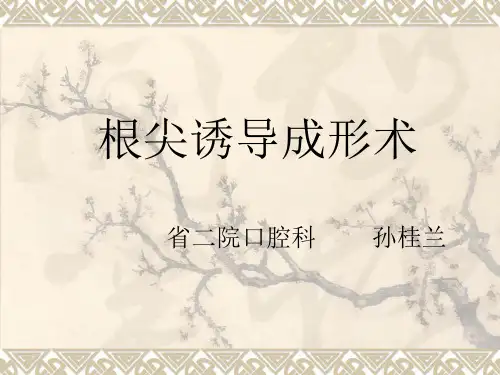 根尖诱导成形术