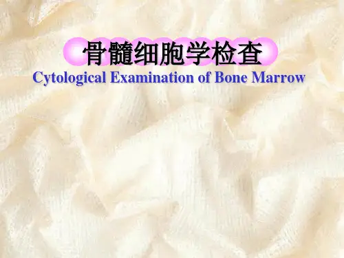 诊断PPT课件：骨髓细胞学检查 (2)