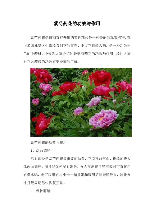紫芍药花的功效与作用