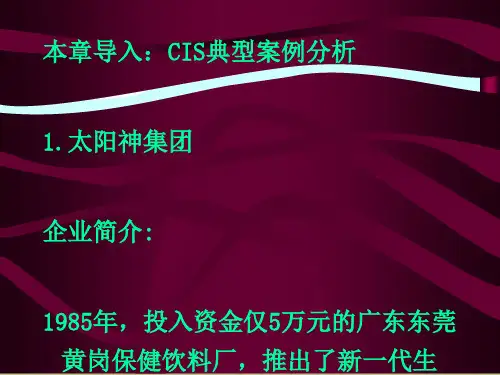 CIS典型案例分析课程(PPT 52张)