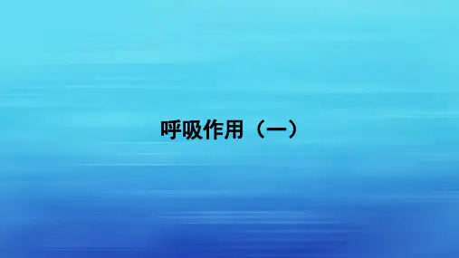 3.1.13呼吸作用