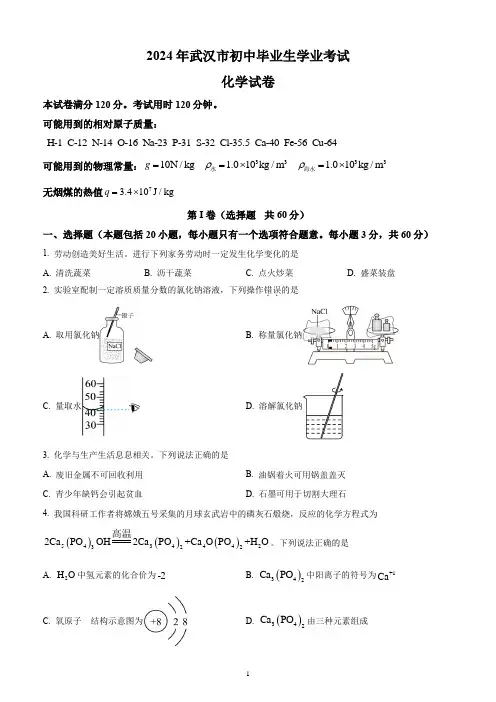 2024年湖北省武汉市中考化学试题(含答案解析)