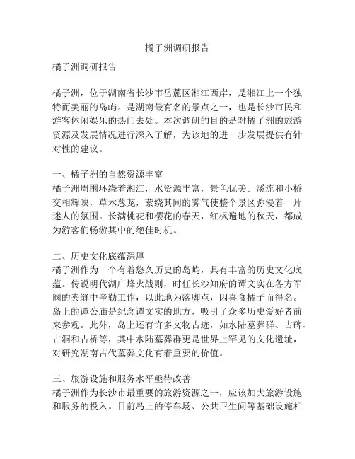 橘子洲调研报告