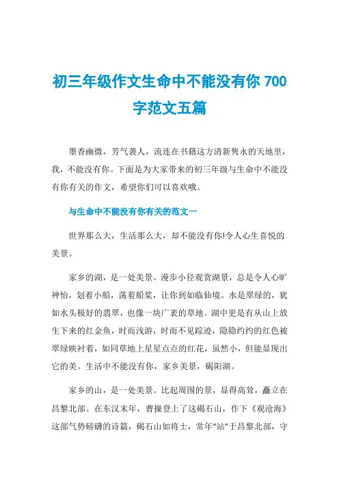 初三年级作文生命中不能没有你700字范文五篇