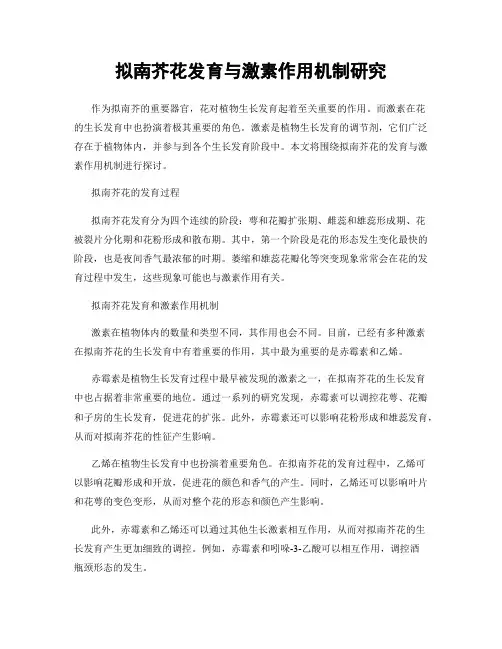 拟南芥花发育与激素作用机制研究