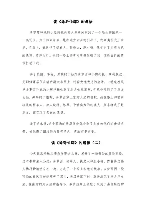 读《绿野仙踪》的感悟(六篇)