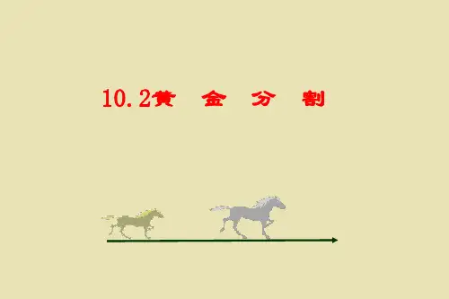 黄金分割课件