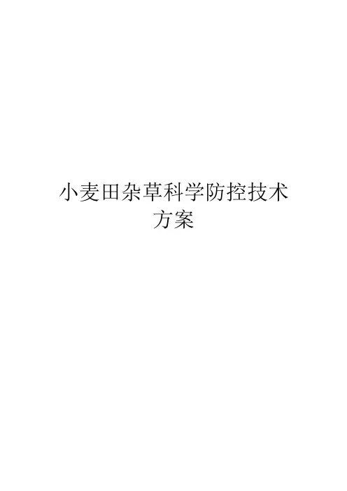 小麦田杂草科学防控技术方案
