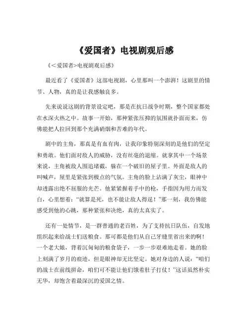 《爱国者》电视剧观后感