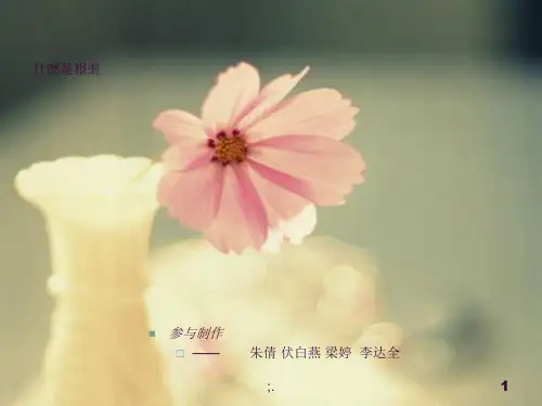 服装学概论ppt课件
