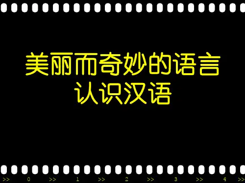 美丽而奇妙的语言(绝对好用)页PPT文档