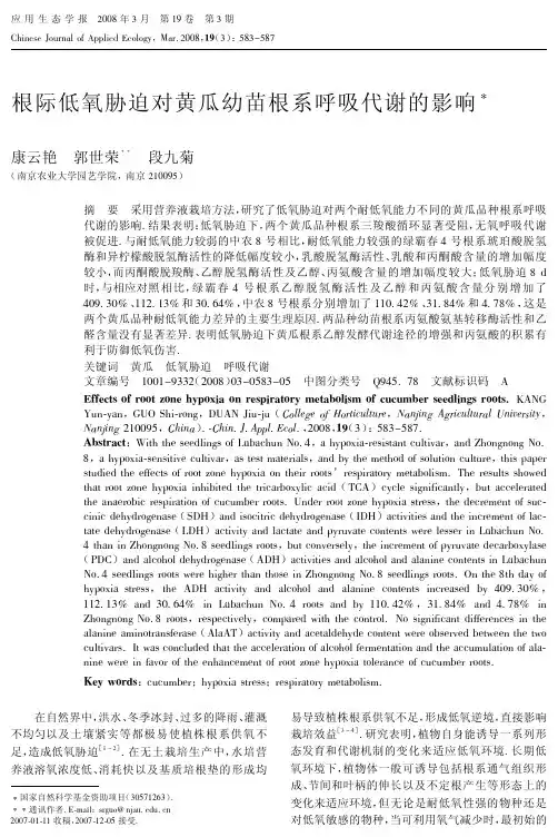 根际低氧胁迫对黄瓜幼苗根系呼吸代谢的影响