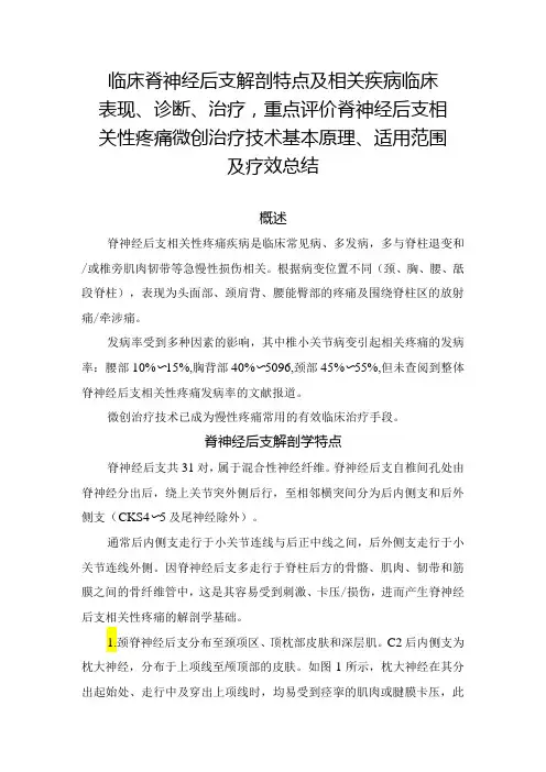 临床脊神经后支解剖特点及相关疾病临床表现、诊断、治疗,重点评价脊神经后支相关性疼痛微创治疗技术基本原