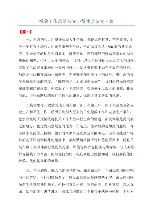 援藏工作总结范文心得体会范文三篇