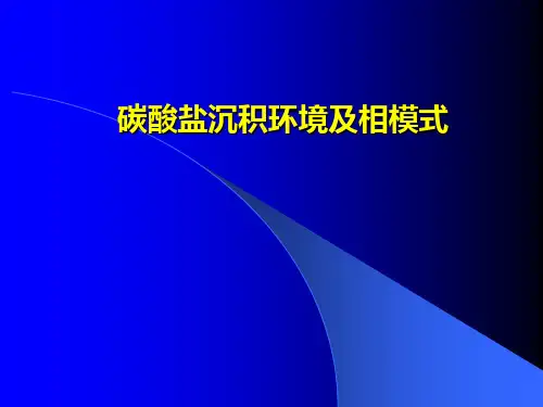 碳酸盐沉积环境及相模式