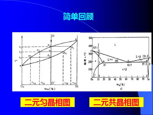 第四-五节--二元共晶包晶相图剖析