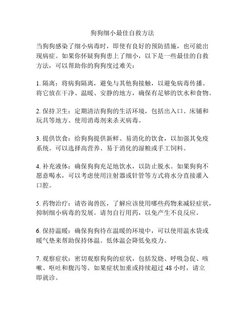狗狗细小最佳自救方法