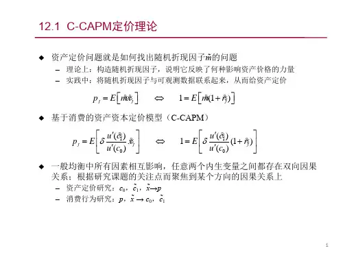 第十二章 C-CAPM及其讨论 《金融经济学》PPT课件