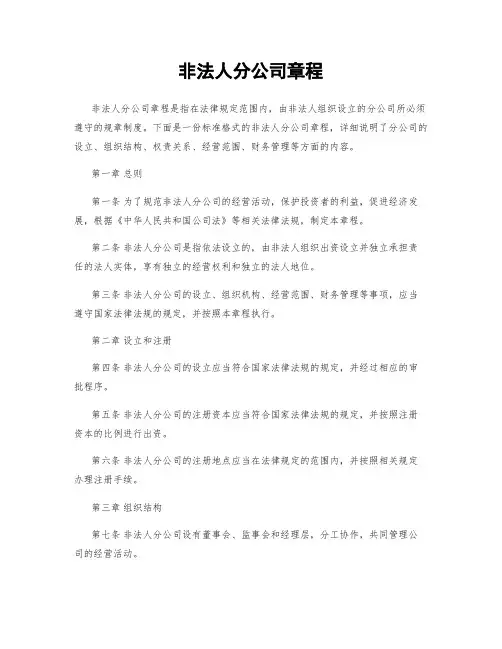 非法人分公司章程