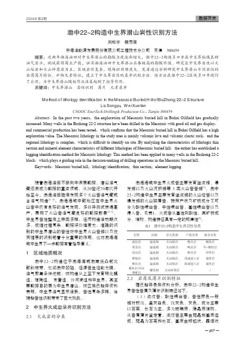 渤中22-2构造中生界潜山岩性识别方法