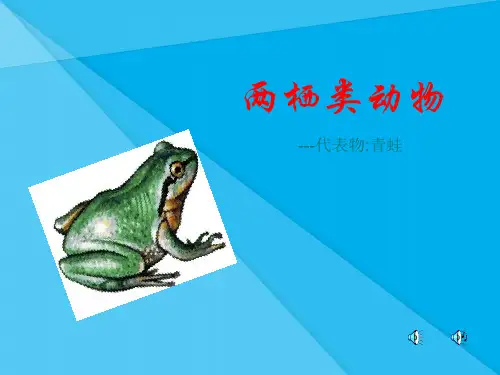 两栖类与爬行类ppt 人教版优秀课件