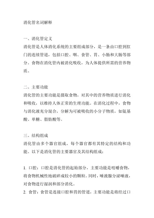 消化管名词解释