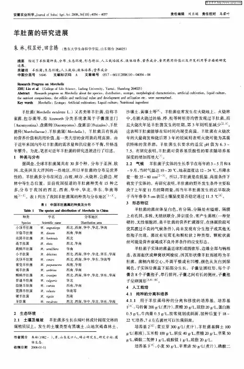 羊肚菌的研究进展