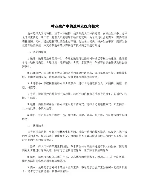 林业生产中的造林及抚育技术