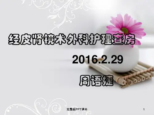 经皮肾镜术护理查房ppt课件