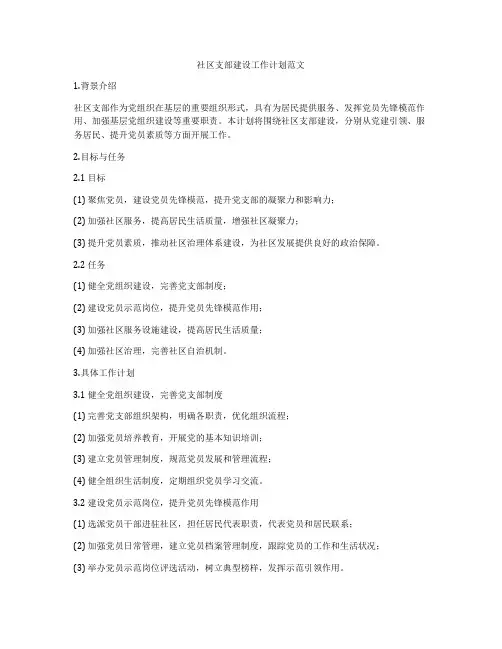 社区支部建设工作计划范文