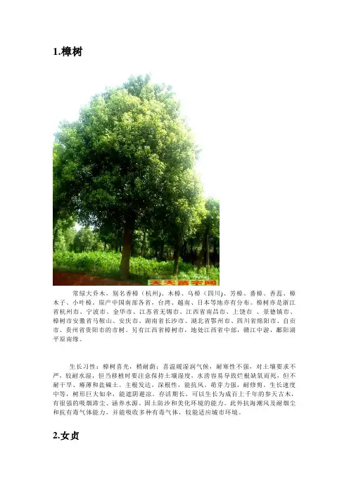 华东地区常见景观乔灌木及生长习性