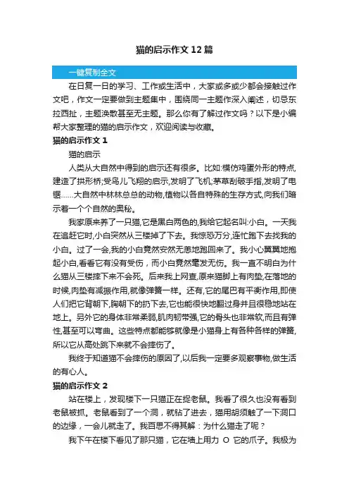 猫的启示作文12篇