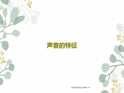 声音的特征19页PPT