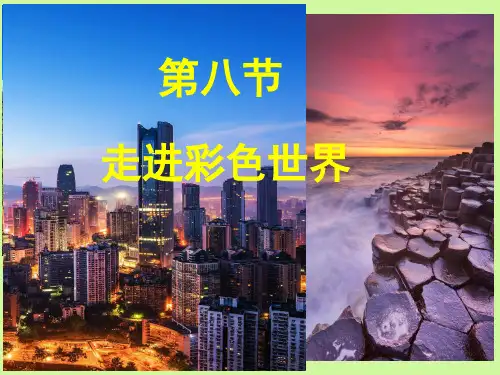 4.8 走进彩色世界 课件 教科版 八年级上册物理
