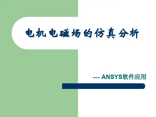 电机电磁场的仿真分析