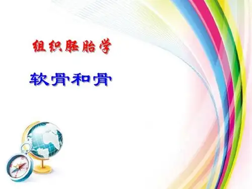 组织胚胎学：软骨和骨(精品)