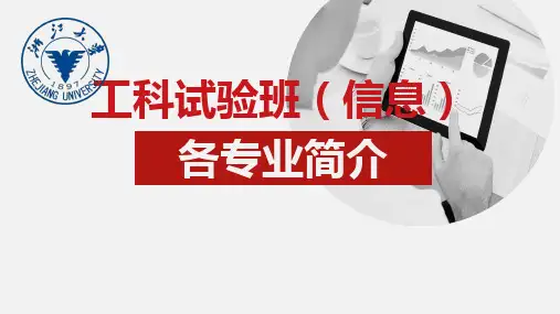 工科试验班(信息)专业简介