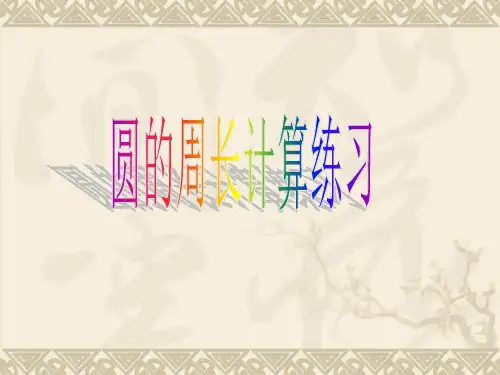 圆的周长计算练习ppt课件