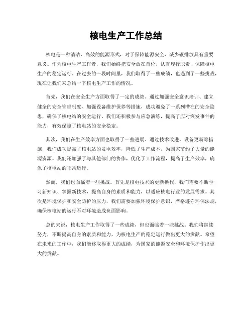 核电生产工作总结