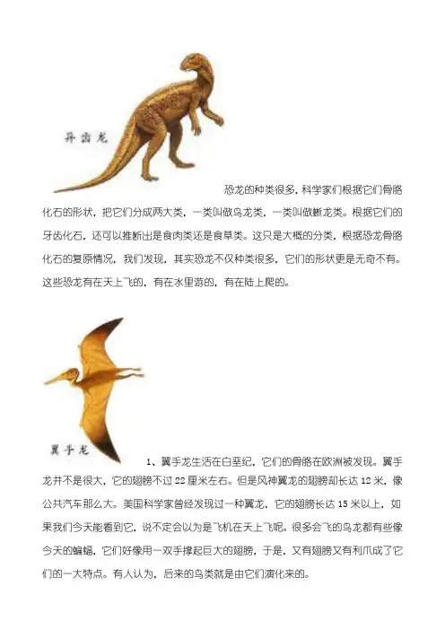 恐龙的种类很多