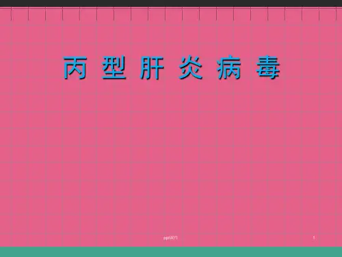 丙型肝炎病毒  ppt课件