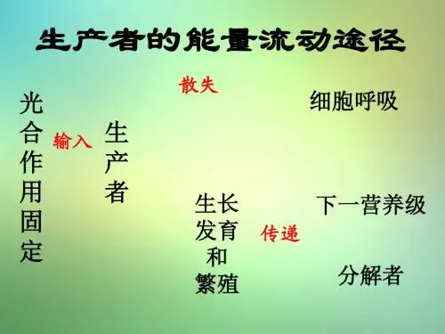 济南版生物八年级下册《能量流动和物质循环》2