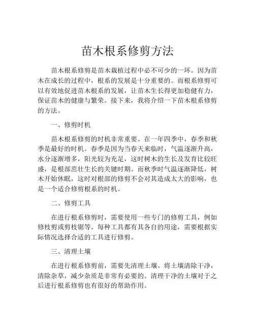 苗木根系修剪方法