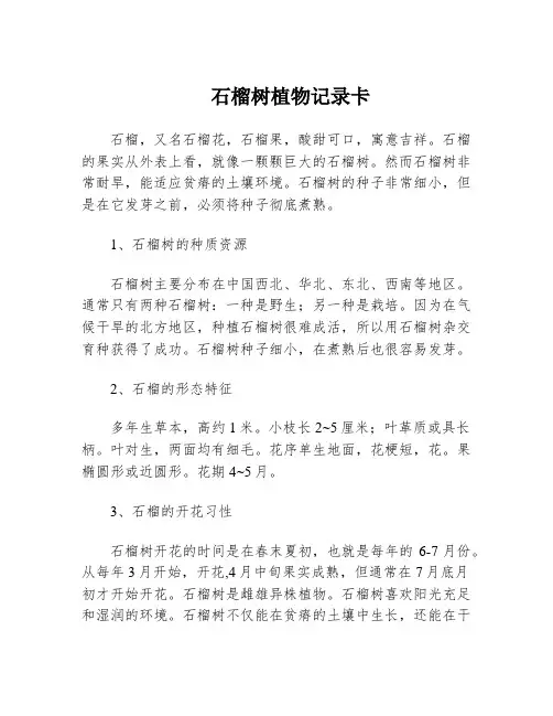 石榴树植物记录卡